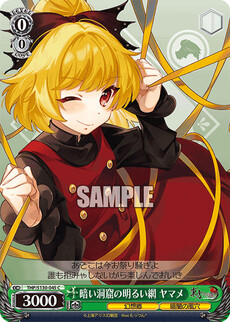 暗い洞窟の明るい網 ヤマメ
