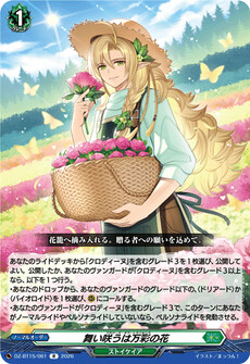 舞い咲うは万彩の花