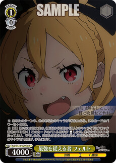 最強を従える者 フェルト
