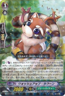 ウォッシュアップ・ラクーン 