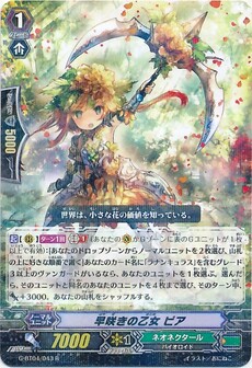 早咲きの乙女 ピア