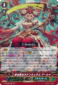 咲き誇るラナンキュラス アーシャ