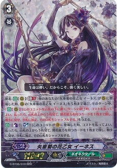 矢車菊の花乙女 イーネス