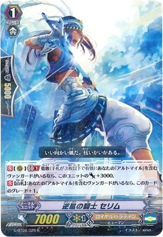 逆風の騎士 セリム