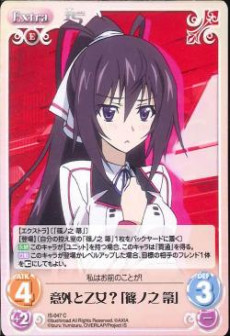 Littleakiba Singles Market Infinite Stratos 1 00