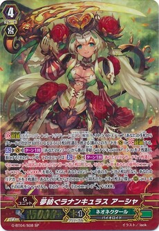 夢紡ぐラナンキュラス アーシャ