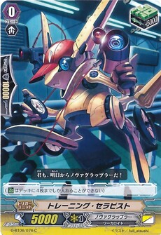 トレーニング・セラピスト