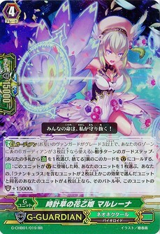 時計草の花乙姫 マルレーナ