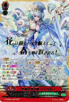 冬麗の花乙姫 インベルノ