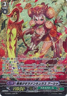 胸焦がすラナンキュラス アーシャ