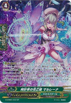 時計草の花乙姫 マルレーナ
