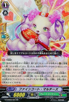 ファインコート・マルチーズ