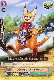ブラッシング・キトゥン