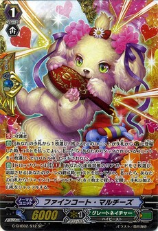 ファインコート・マルチーズ