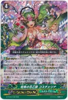 桜桃の花乙姫 コスチェリナ