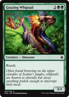 Grazing Whiptail