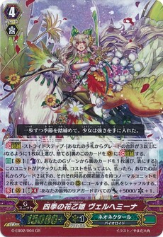 四季の花乙姫 ヴェルヘミーナ