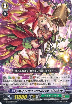 ポインセチアの花乙女 グレネル