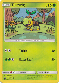 Turtwig