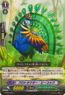 プロトラクター・ピーコック