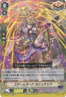 スチームガード カシュテリア