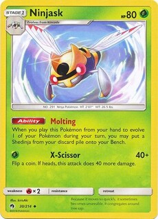 Ninjask
