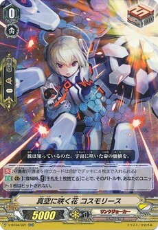 真空に咲く花 コスモリース