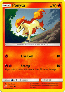 Ponyta