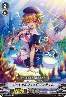 ソーシャルフィッグ アンティム