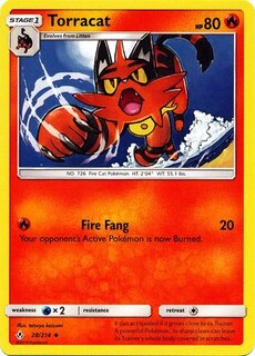 Torracat