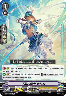 逆風の騎士 セリム