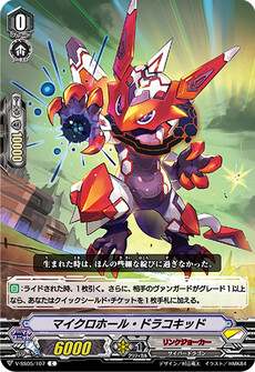 マイクロホール・ドラコキッド