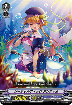 ソーシャルフィッグ アンティム