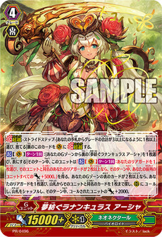 夢紡ぐラナンキュラス アーシャ