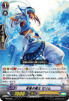 逆風の騎士 セリム