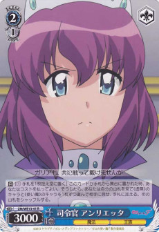 Zero no Tsukaima F Cards & Translations :: littleAKIBA