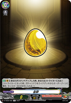 金卵