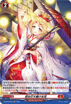 命を灯す幽けき光