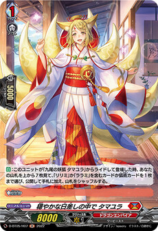 穏やかな日差しの中で タマユラ