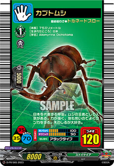 カブトムシ