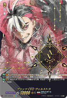 ブリッツCEO ヴェルストラ