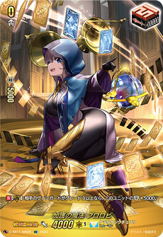 加護の魔法 プロロビ