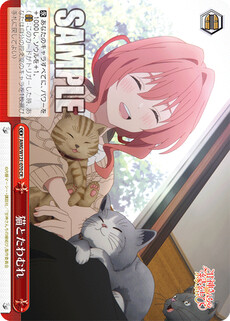 猫とたわむれ