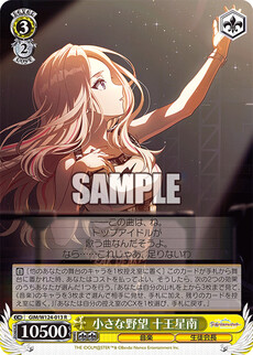 小さな野望 十王星南