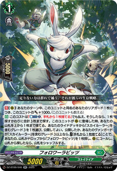 フォロワーラビッツ